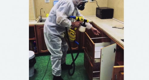 Дезинсекция квартиры. Ишимбай