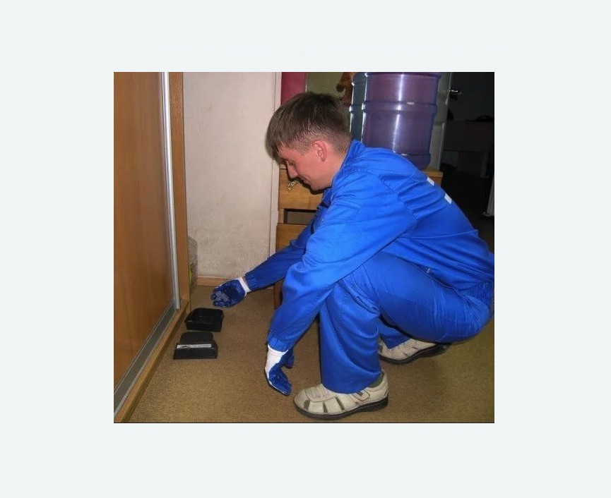 Дератизация крыс в Ишимбае