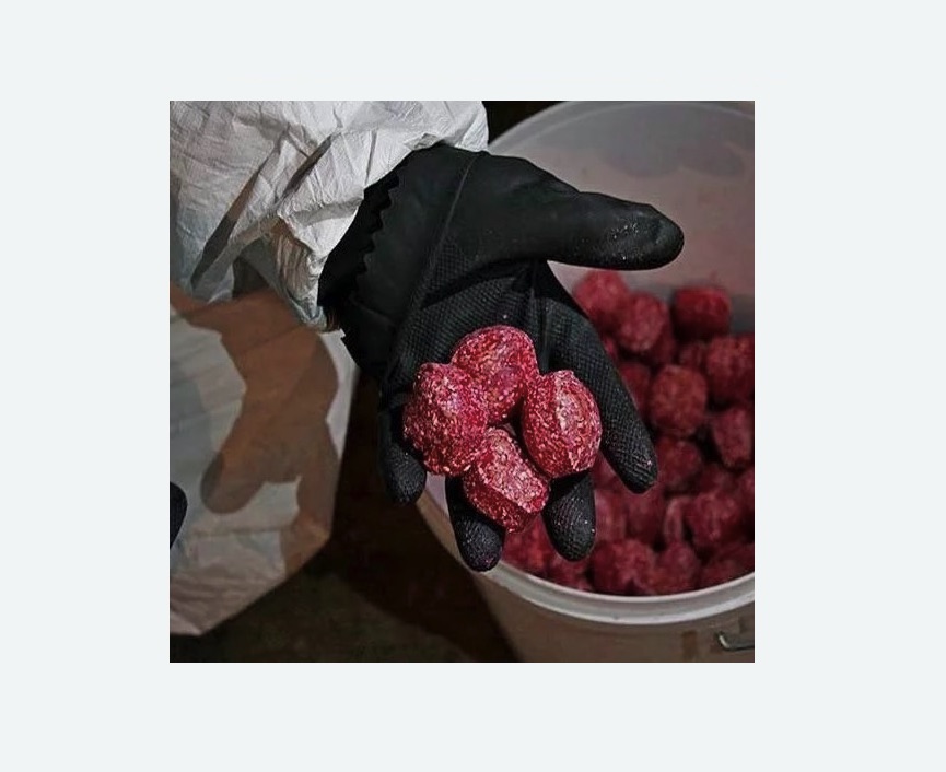 Обработка от крыс в Ишимбае