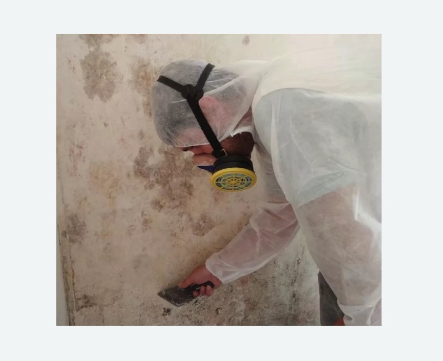 Обработка стен от плесени в Ишимбае