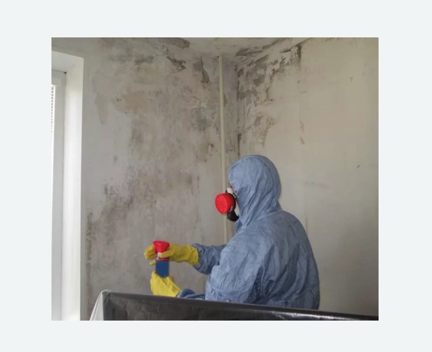 Удаление плесени в квартире в Ишимбае