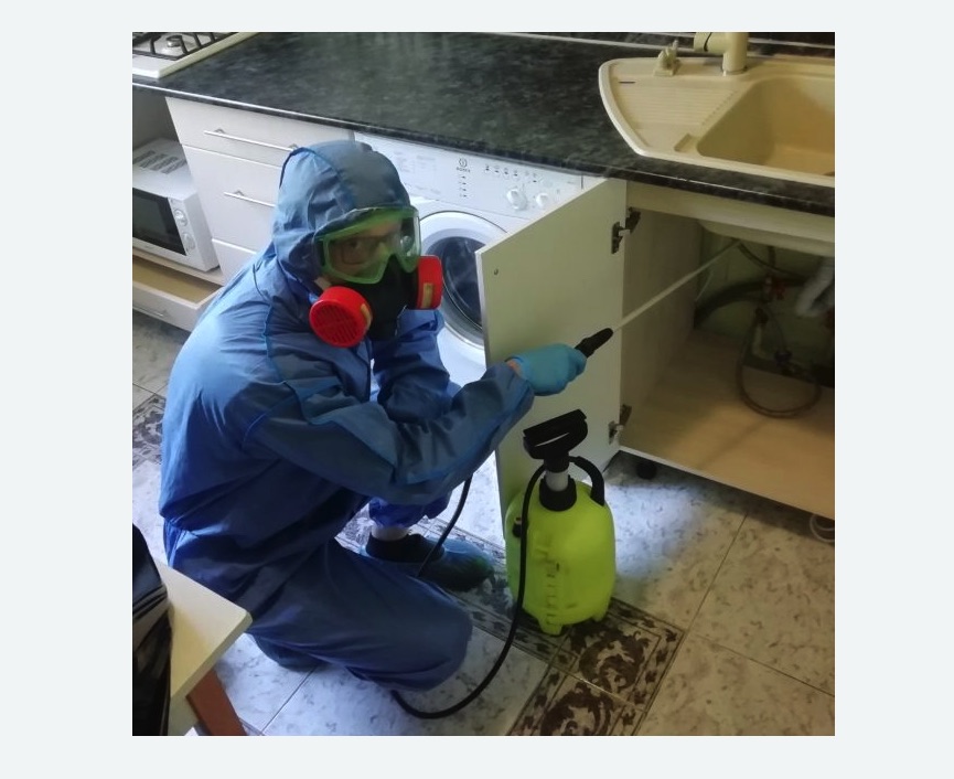 обработка от муравьев в квартире в Ишимбае