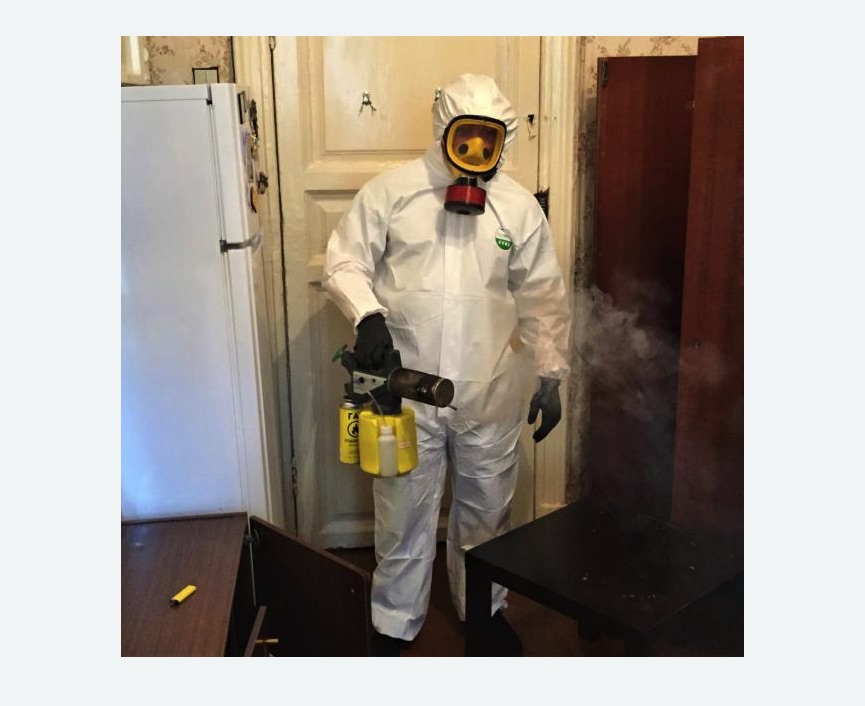 уничтожение муравьев в квартире в Ишимбае